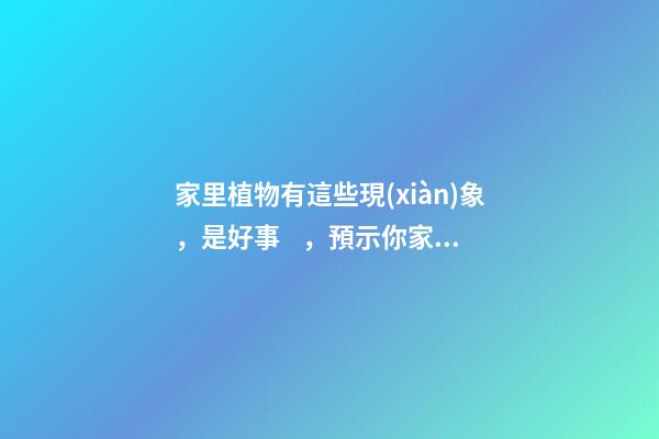 家里植物有這些現(xiàn)象，是好事，預示你家要發(fā)大財了！